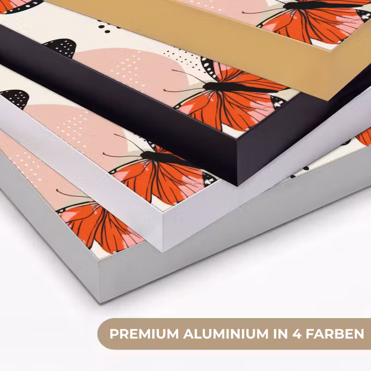 Vlinders - Retro - Kleurrijk Textielframe zwart klein 947 -USP_kleurenDE