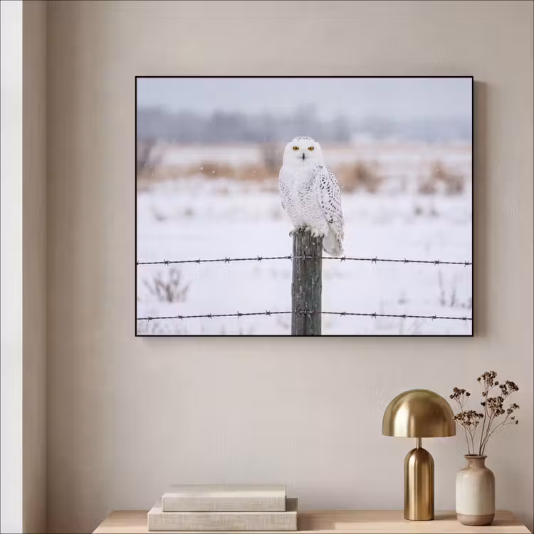 Sneeuwuil - Hek - Sneeuw - Wit Textielframe zwart klein -sfeer2