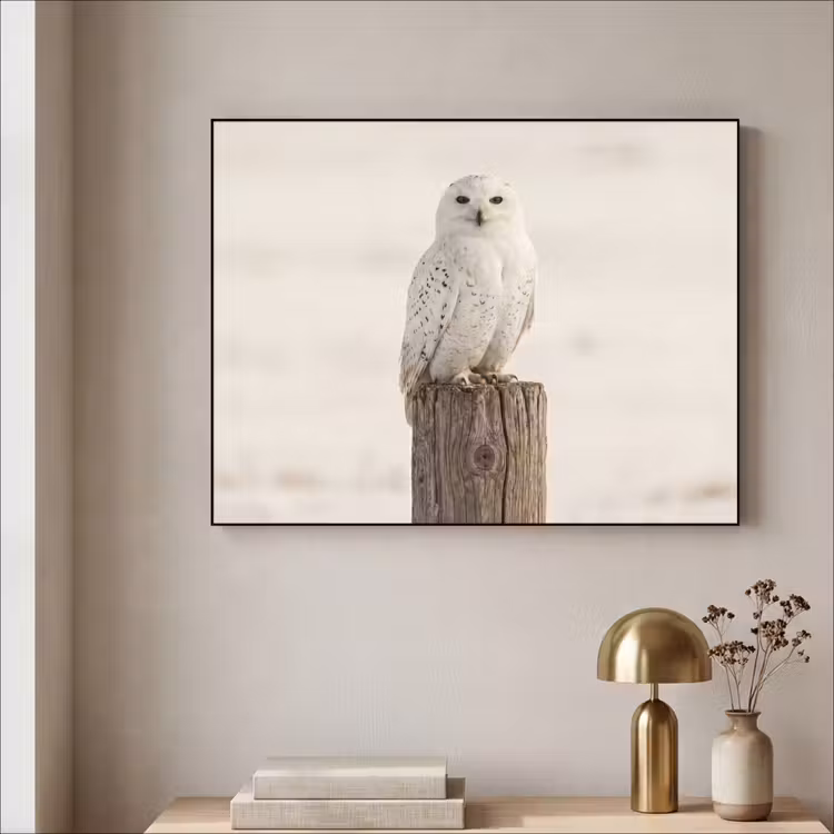 Sneeuwuil - Paal - Winter - Portret - Majestueus Textielframe zwart klein -sfeer2