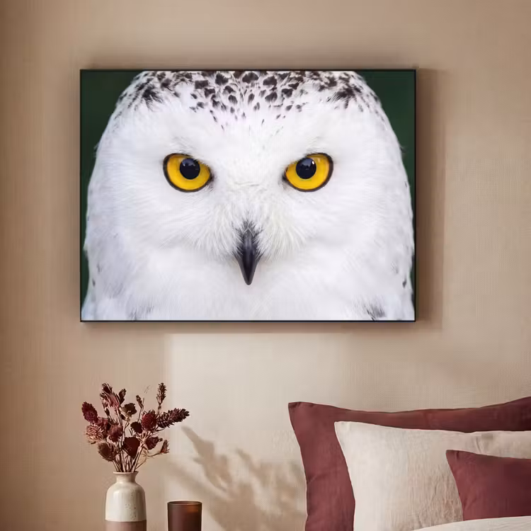 Sneeuwuil - Portret - Geel Textielframe zwart klein -sfeer1