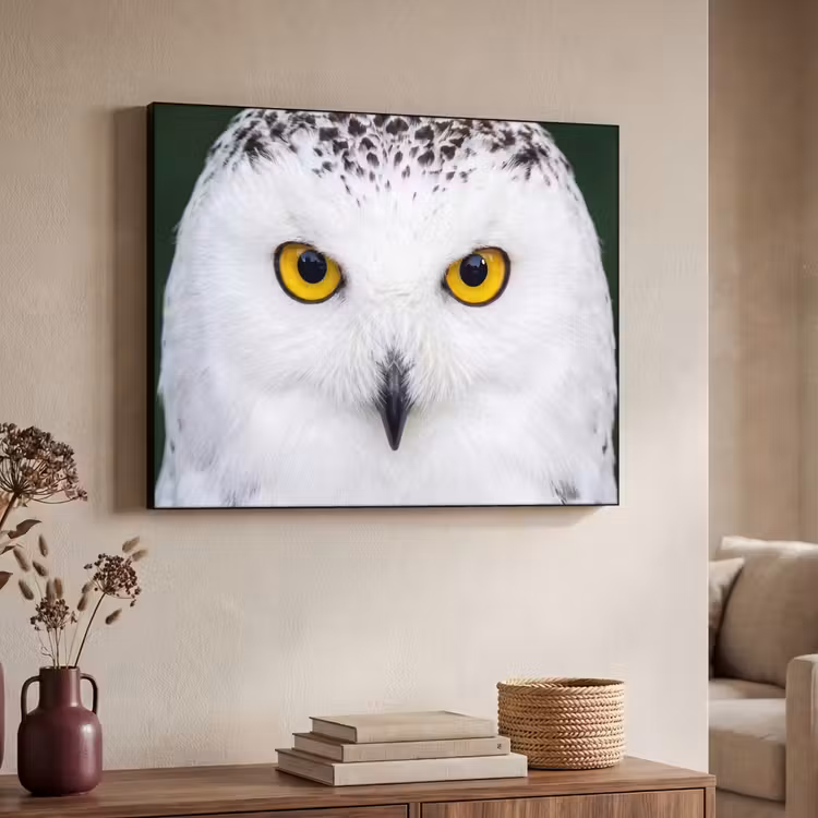 Sneeuwuil - Portret - Geel Textielframe zwart klein -sfeer3