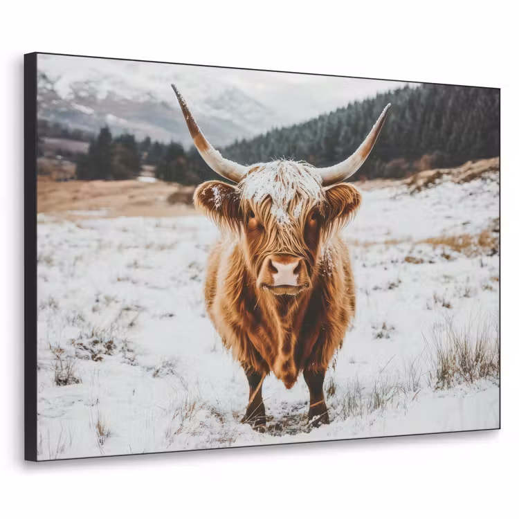 Schotse Hooglander - Landschap - Sneeuw - Bergen - Winter Textielframe zwart klein -3d