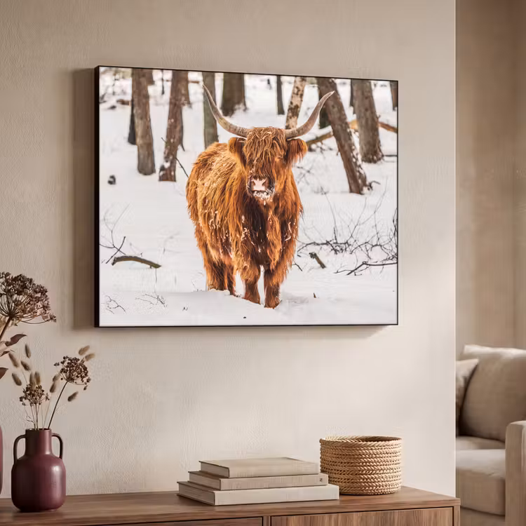 Schotse Hooglander - Sneeuw - Winter - Natuur - Dieren Textielframe zwart klein -sfeer3