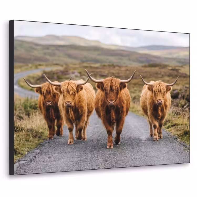 Schotse Hooglanders - Weg - Landschap - Kudde Textielframe zwart klein -3d