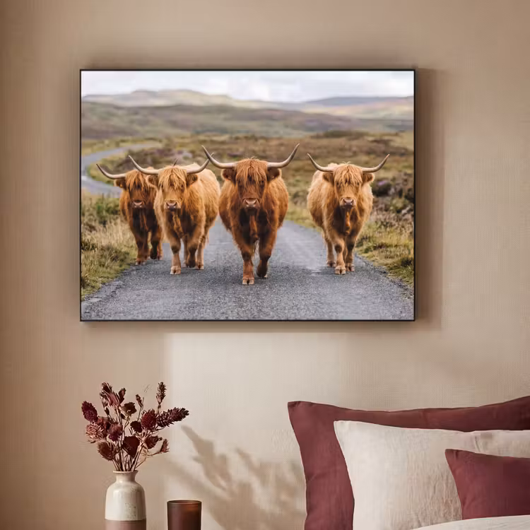 Schotse Hooglanders - Weg - Landschap - Kudde Textielframe zwart klein -sfeer1