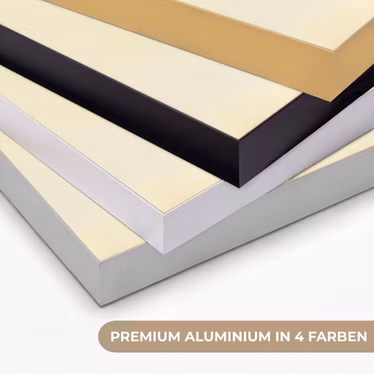 Schubben - Vis - Mint - Minimalistisch Textielframe zwart klein -USP_kleurenDE