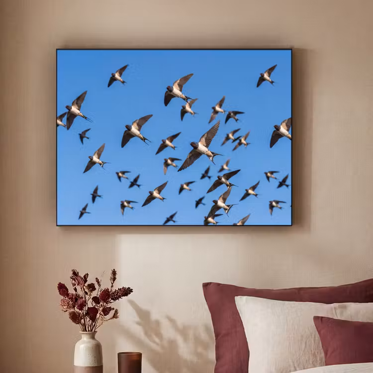 Zwaluwen - Vliegen - Blauw Textielframe zwart klein -sfeer1