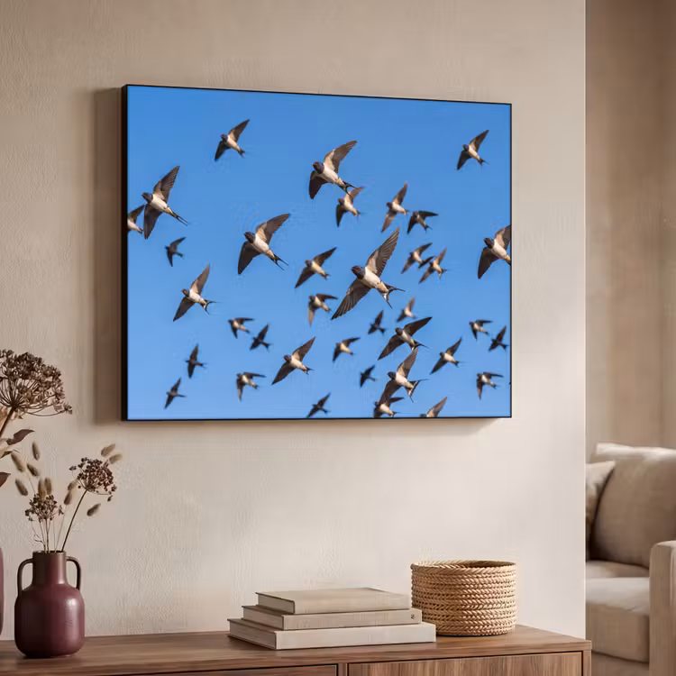 Zwaluwen - Vliegen - Blauw Textielframe zwart klein -sfeer3