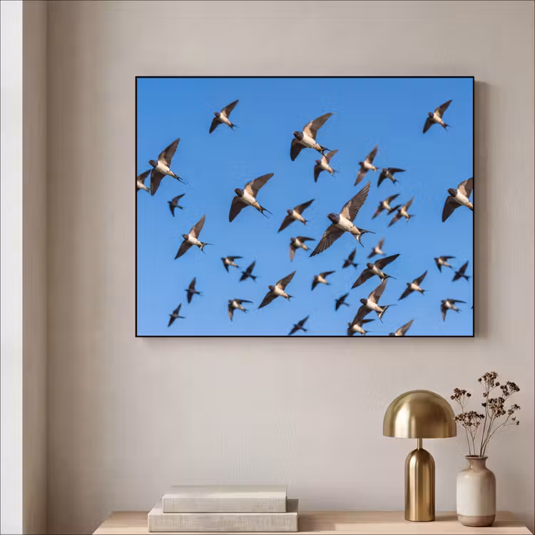 Zwaluwen - Vliegen - Blauw Textielframe zwart klein -sfeer2