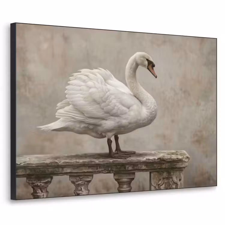 Zwaan - Elegant - Dieren - Wit Textielframe zwart klein -3d
