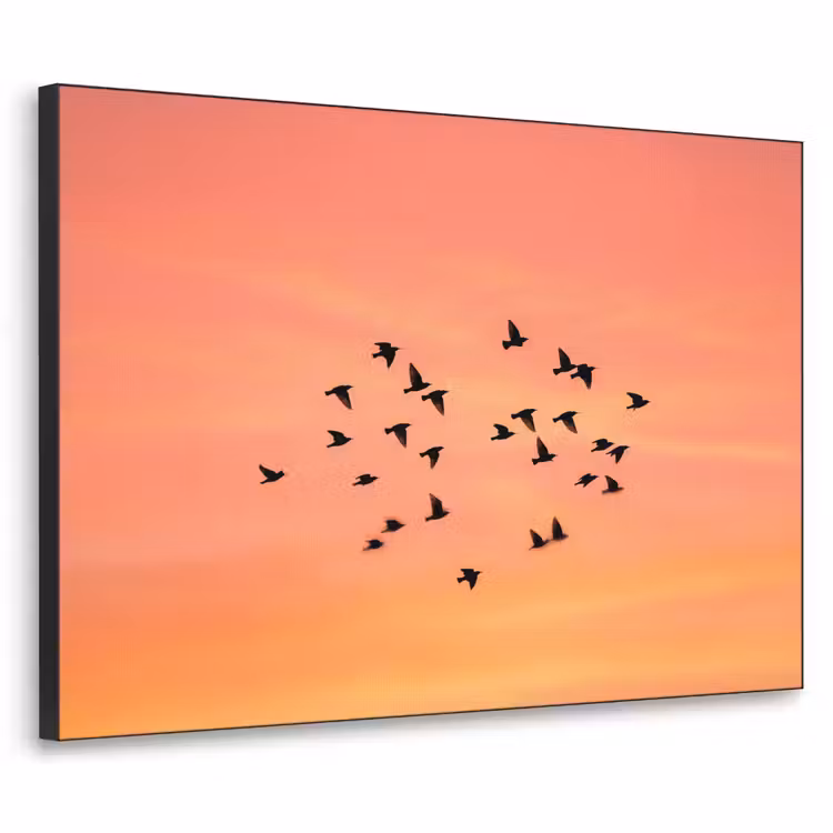 Zwerm - Vogels - Oranje Textielframe zwart klein -3d