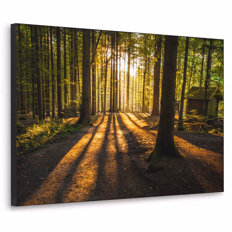 Zon - Bomen - Bos - Landschap - Natuur Textielframe zwart klein -3d