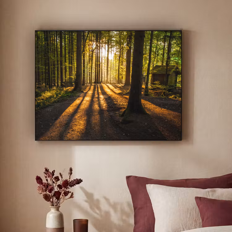 Zon - Bomen - Bos - Landschap - Natuur Textielframe zwart klein -sfeer1