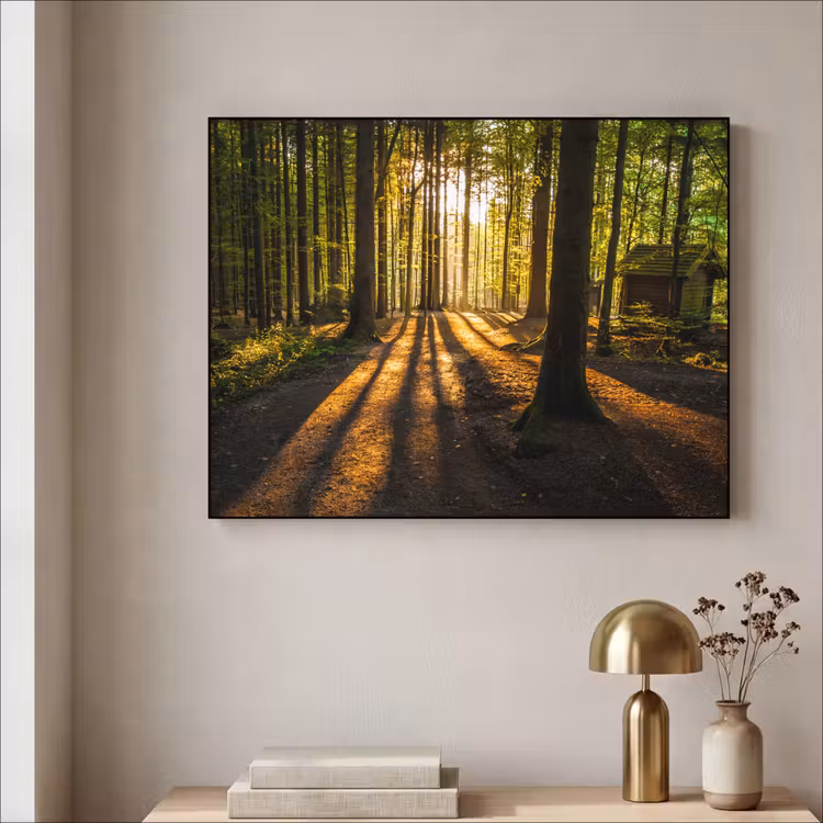 Zon - Bomen - Bos - Landschap - Natuur Textielframe zwart klein -sfeer2