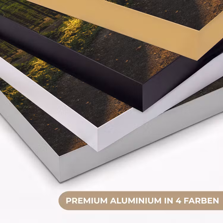 Zon - Bomen - Bos - Landschap - Natuur Textielframe zwart klein -USP_kleurenDE