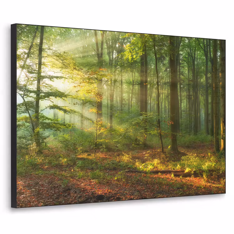 Zon - Bos - Bomen - Natuur - Herfst Textielframe zwart klein -3d
