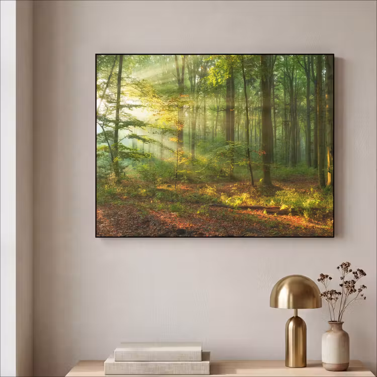 Zon - Bos - Bomen - Natuur - Herfst Textielframe zwart klein -sfeer2