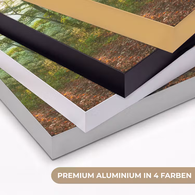 Zon - Bos - Bomen - Natuur - Herfst Textielframe zwart klein -USP_kleurenDE