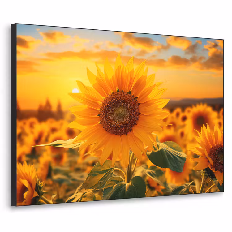 Zonnebloem - Bloemen - Geel - Bloemenveld met zonnebloemen Textielframe zwart klein -3d
