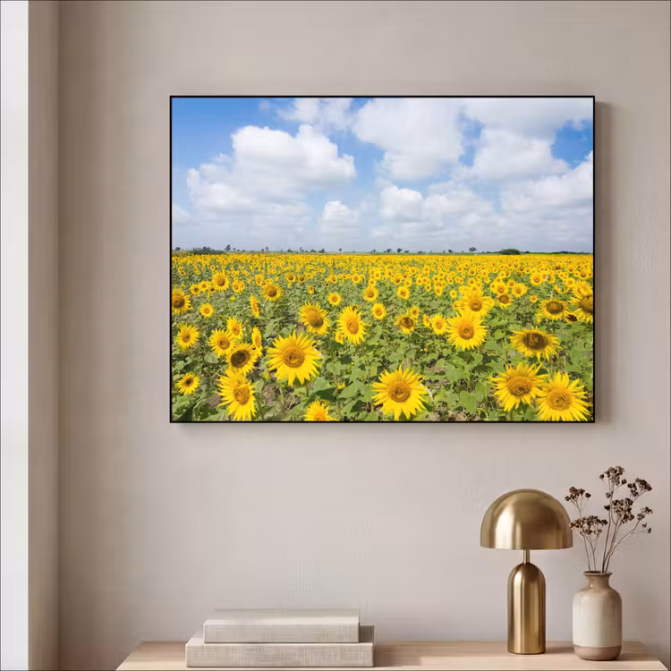 Zonnebloemen - Bloemen - Wolken - Natuur - Geel - Landschap Textielframe zwart klein -sfeer2