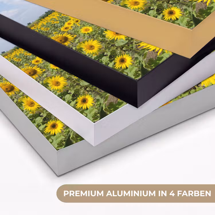Zonnebloemen - Bloemen - Wolken - Natuur - Geel - Landschap Textielframe zwart klein -USP_kleurenDE