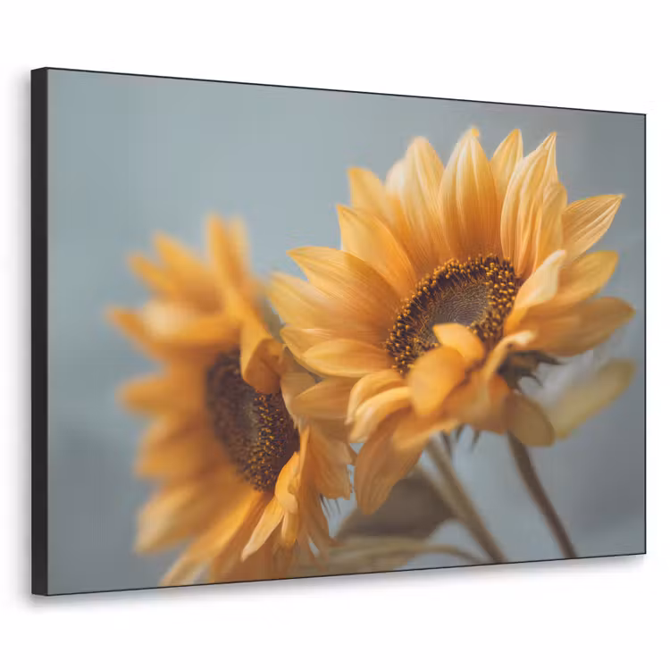 Zonnebloemen - Geel - Wazig Textielframe zwart klein -3d