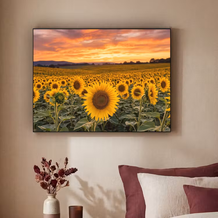 Zonnebloemen - Heuvellandschap - Geel Textielframe zwart klein -sfeer1