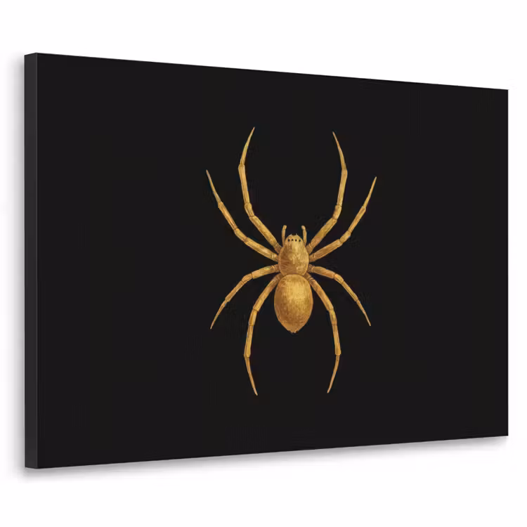 Spin - Goud - Minimalistisch - Poten Textielframe zwart klein -3d