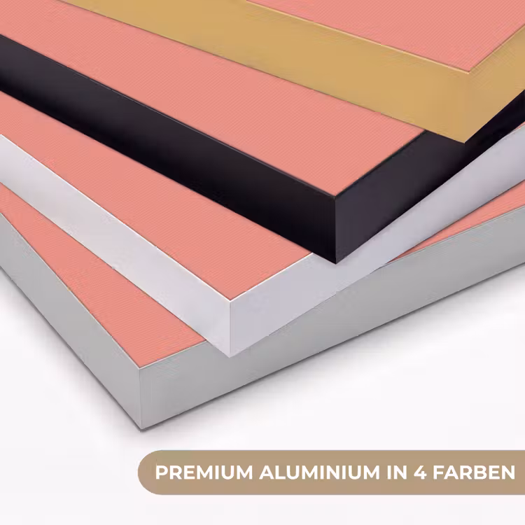 Dusty - Peach - Koraal Textielframe zwart klein 947 -USP_kleurenDE