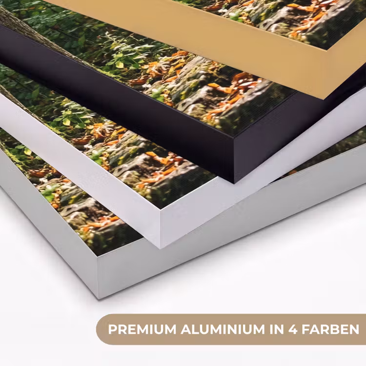 Stenen - Trap - Bos - Natuur Textielframe zwart klein -USP_kleurenDE