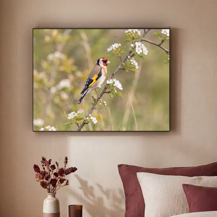 Putter - Bloesem - Lente - Natuur - Kleurrijk Textielframe zwart klein -sfeer1