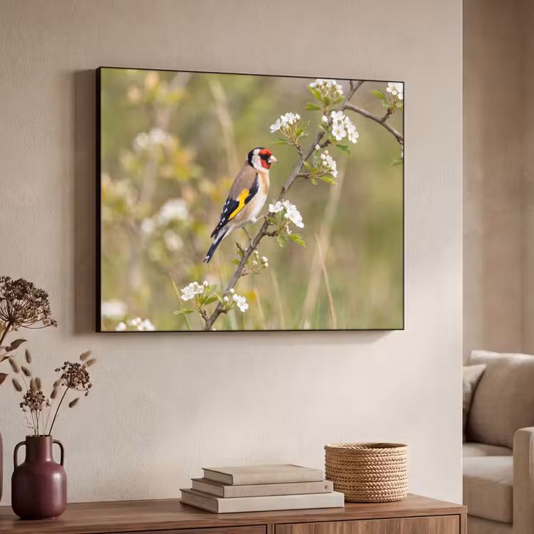 Putter - Bloesem - Lente - Natuur - Kleurrijk Textielframe zwart klein -sfeer3