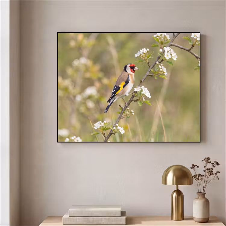 Putter - Bloesem - Lente - Natuur - Kleurrijk Textielframe zwart klein -sfeer2