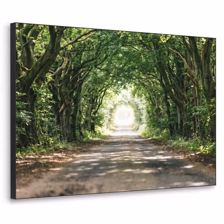 Weg - Bomen - Natuur - Groen Textielframe zwart klein -3d