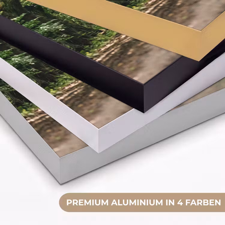 Weg - Bomen - Natuur - Groen Textielframe zwart klein -USP_kleurenDE