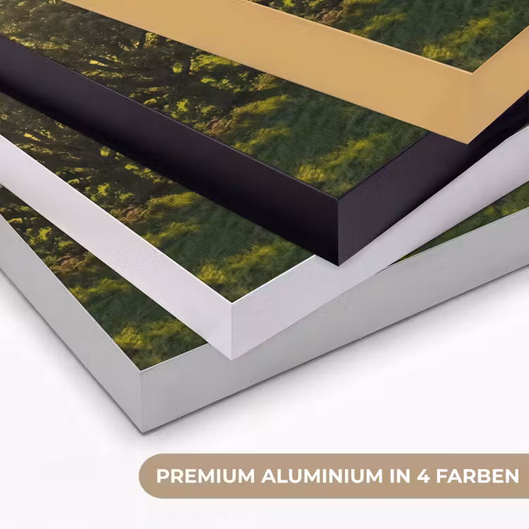 Weg - Weide - Natuur - Groen Textielframe zwart klein -USP_kleurenDE