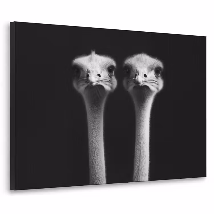 Struisvogels - Halzen - Zwart - Minimalistisch Textielframe zwart klein -3d