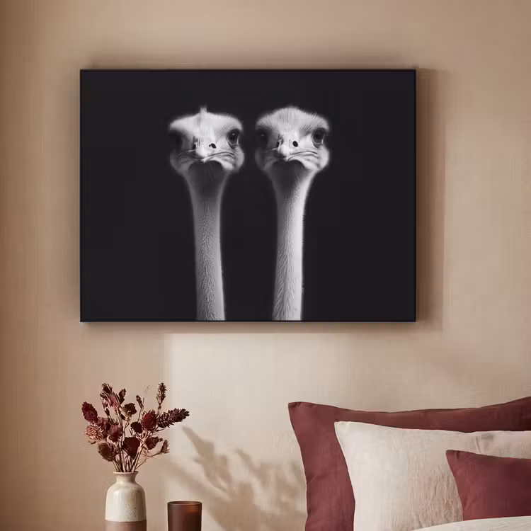 Struisvogels - Halzen - Zwart - Minimalistisch Textielframe zwart klein -sfeer1