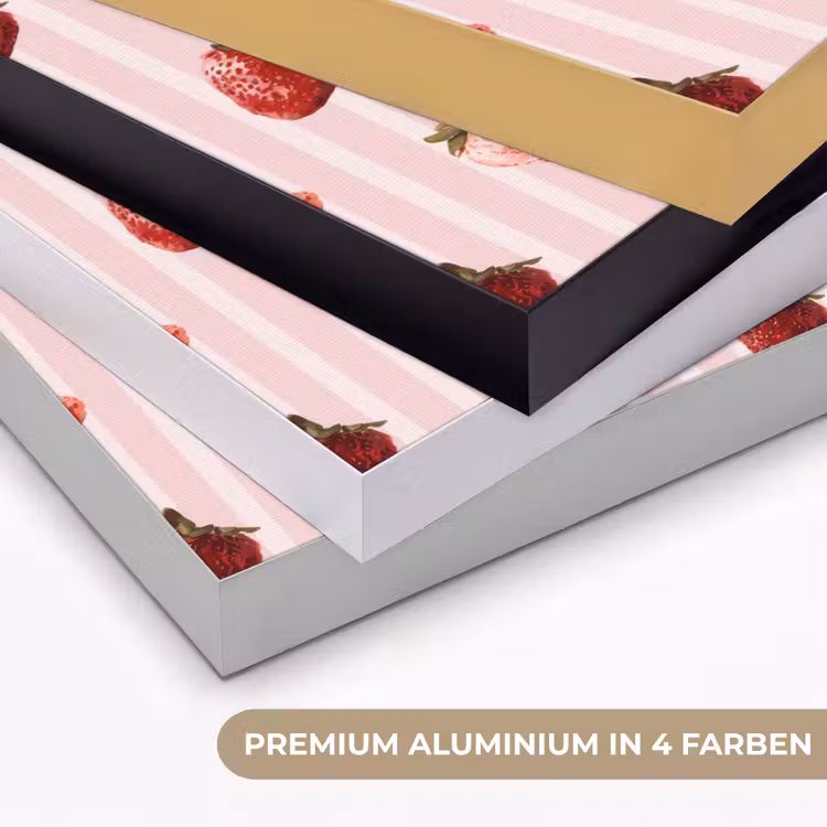 Strepen - Aardbei - Roze Textielframe zwart klein 947 -USP_kleurenDE