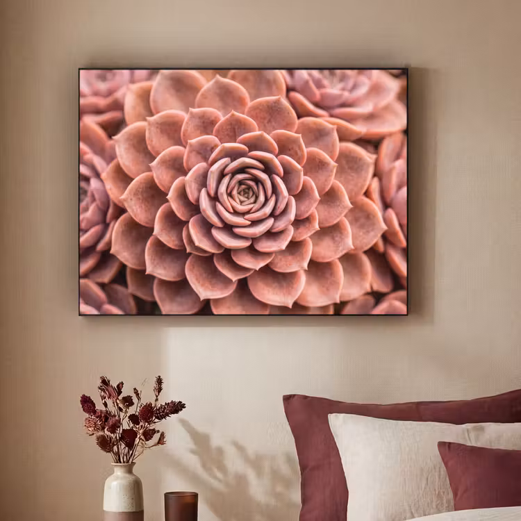 Vetplant - Organisch - Roze Textielframe zwart klein -sfeer1