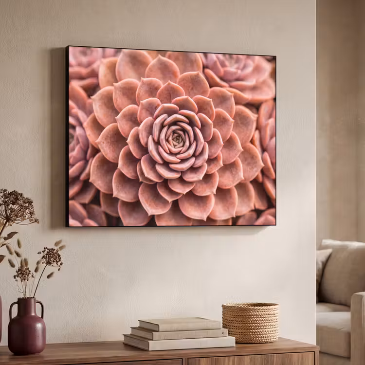 Vetplant - Organisch - Roze Textielframe zwart klein -sfeer3