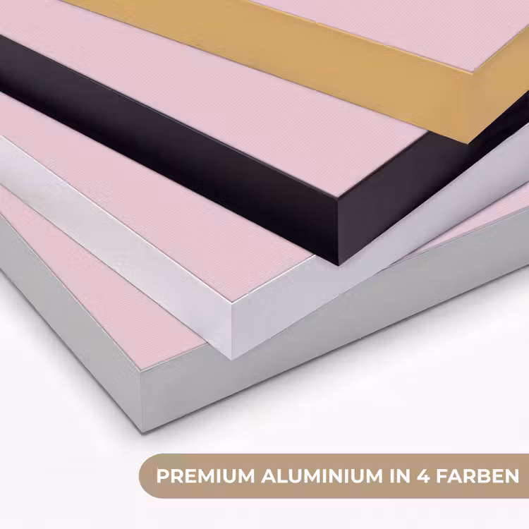 Sushi - Rolletjes - Steentjes - Kleurrijk Textielframe zwart klein -USP_kleurenDE