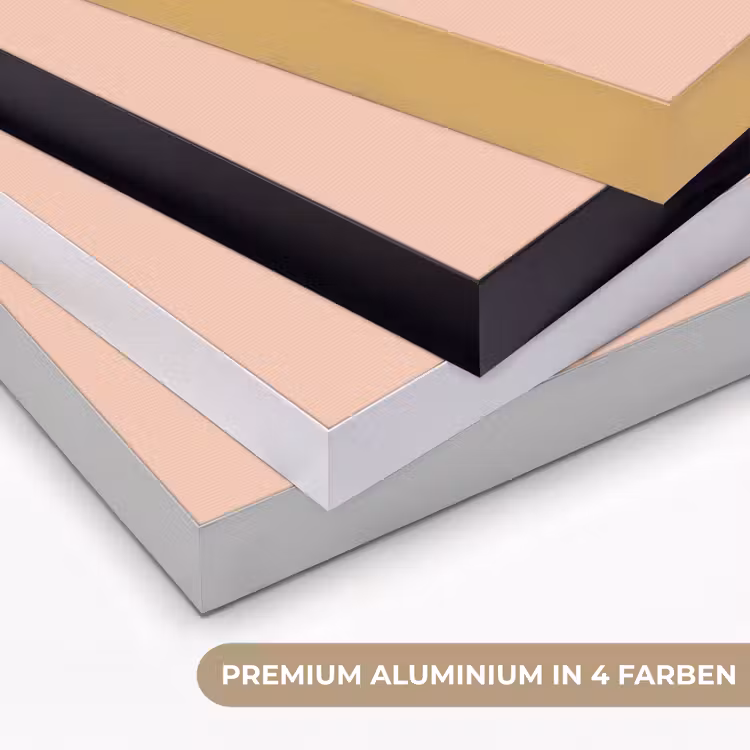 Bakje - Ijs - Aardbei - Roze Textielframe zwart klein -USP_kleurenDE