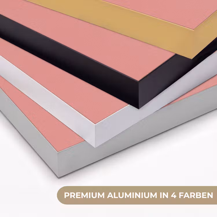 Duiven - Wit - Sierlijk Textielframe zwart klein -USP_kleurenDE