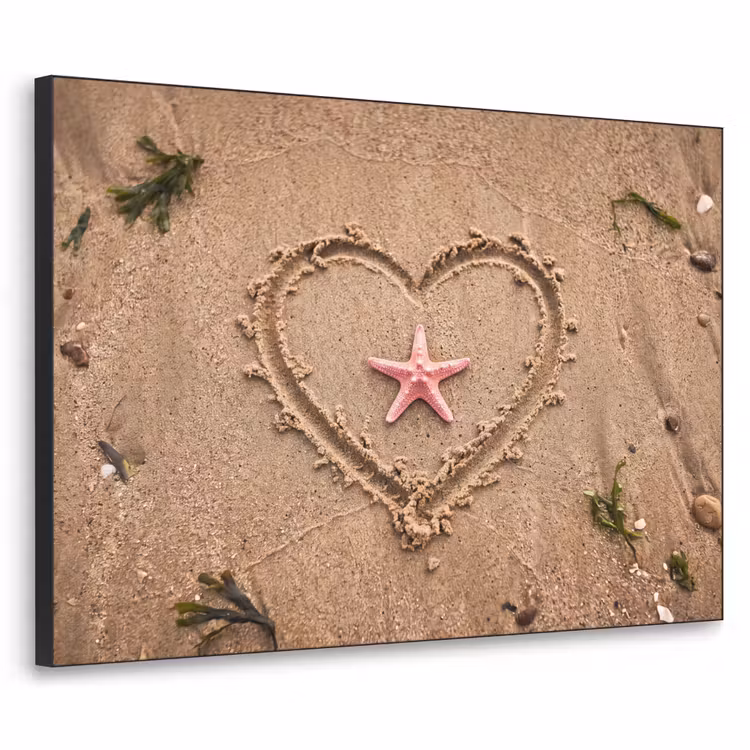 Dieren - Hart - Strand - Zand - Roze Textielframe zwart klein -3d