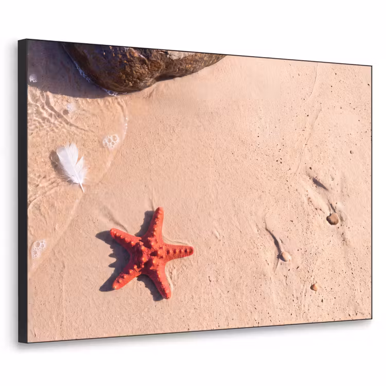 Dieren - Strand - Zee - Natuur - Rood Textielframe zwart klein -3d