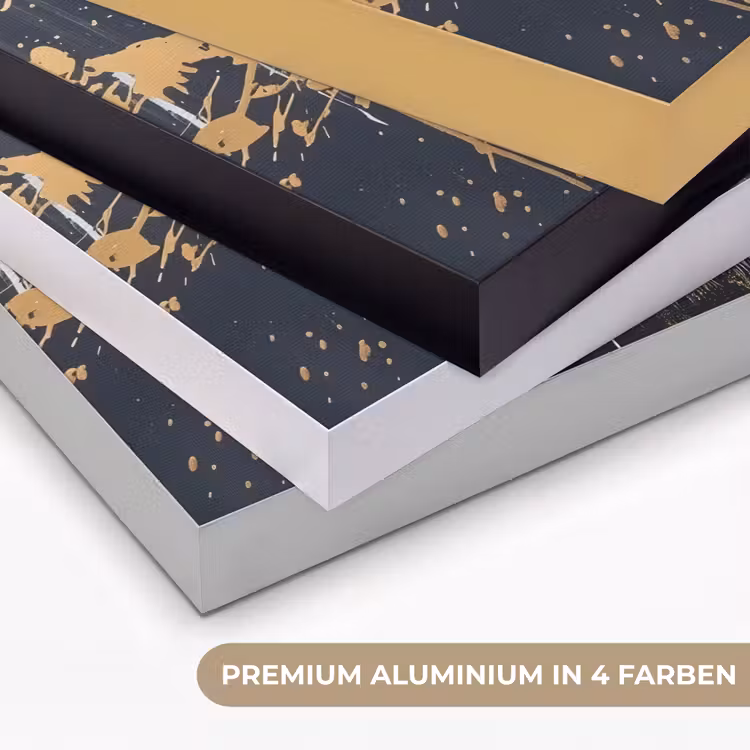 Tijger - Verfspatten - Goud Textielframe zwart klein -USP_kleurenDE