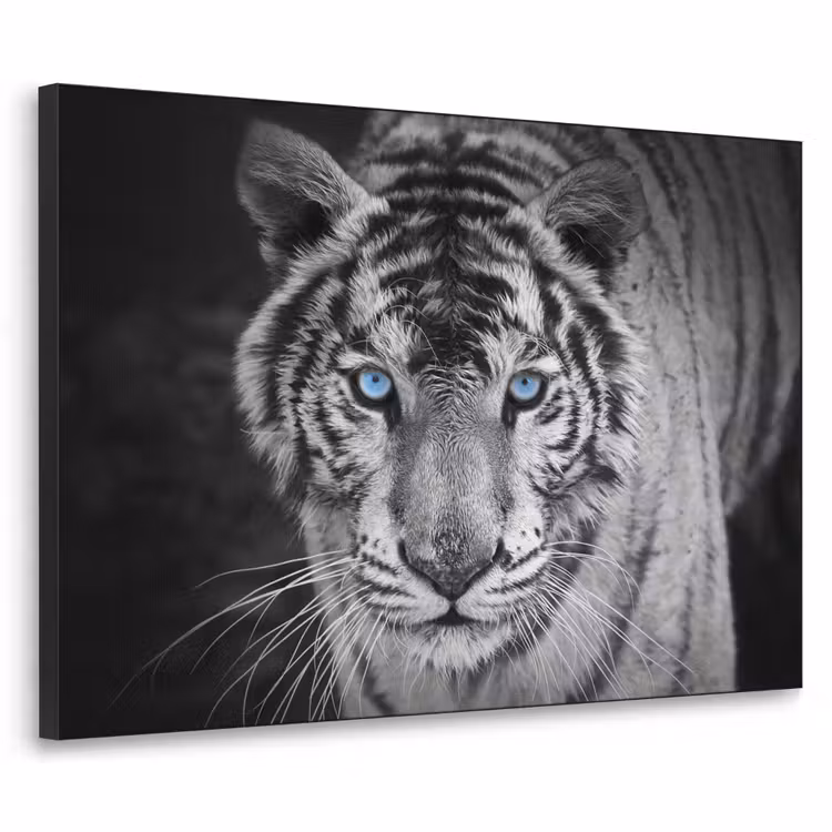 Tijger - Dier - Zwart - Blauw - Modern Textielframe zwart klein -3d