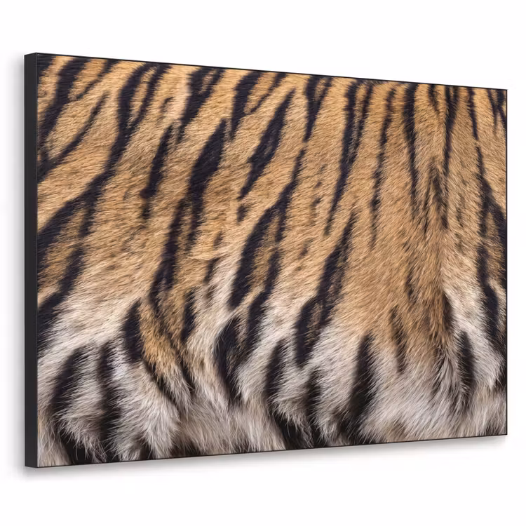Tijgervacht - Klassiek - Zwart Textielframe zwart klein -3d