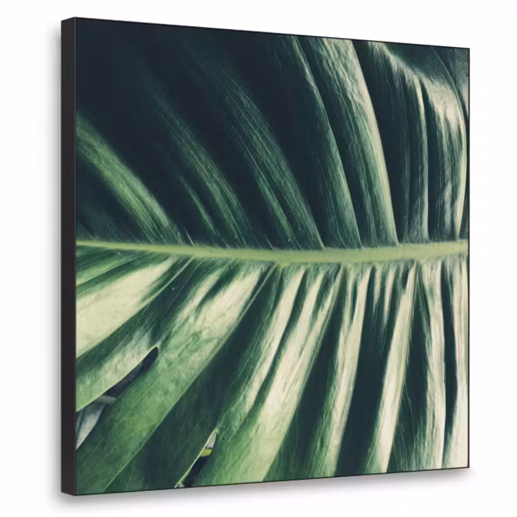 tropical-inductiebeschermer-cm-hfhdesznbkmyijig-1-1-textielframe-zwart-klein-3d.jpg